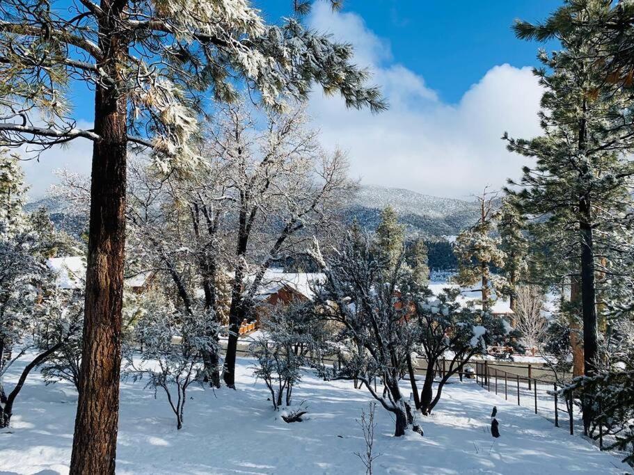 Custom Single Story Cabin With Jacuzzi Pool Table & Big Game Room With Arcade Games Big Bear Lake Exterior foto